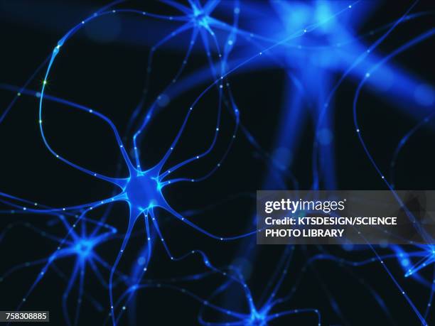 nerve cells, illustration - neuron stock illustrations