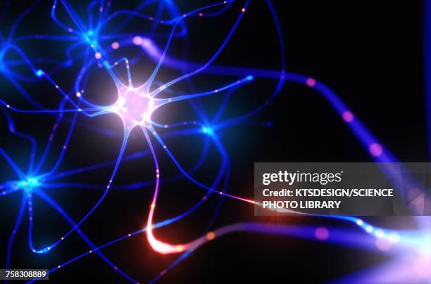 nerve cells and electrical pulses, illustration - human nervous system stock illustrations