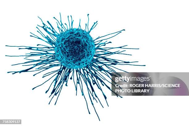 cancer cell, illustration - cancer stock-grafiken, -clipart, -cartoons und -symbole