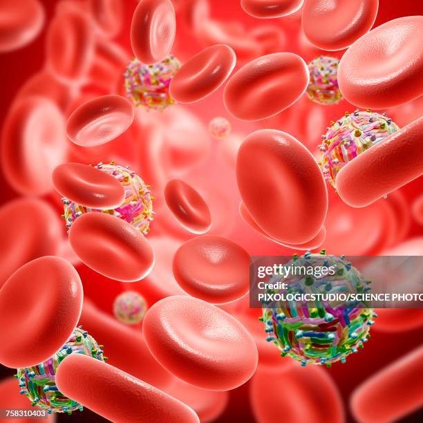 west nile virus particles in blood, illustration - west nile virus stock illustrations