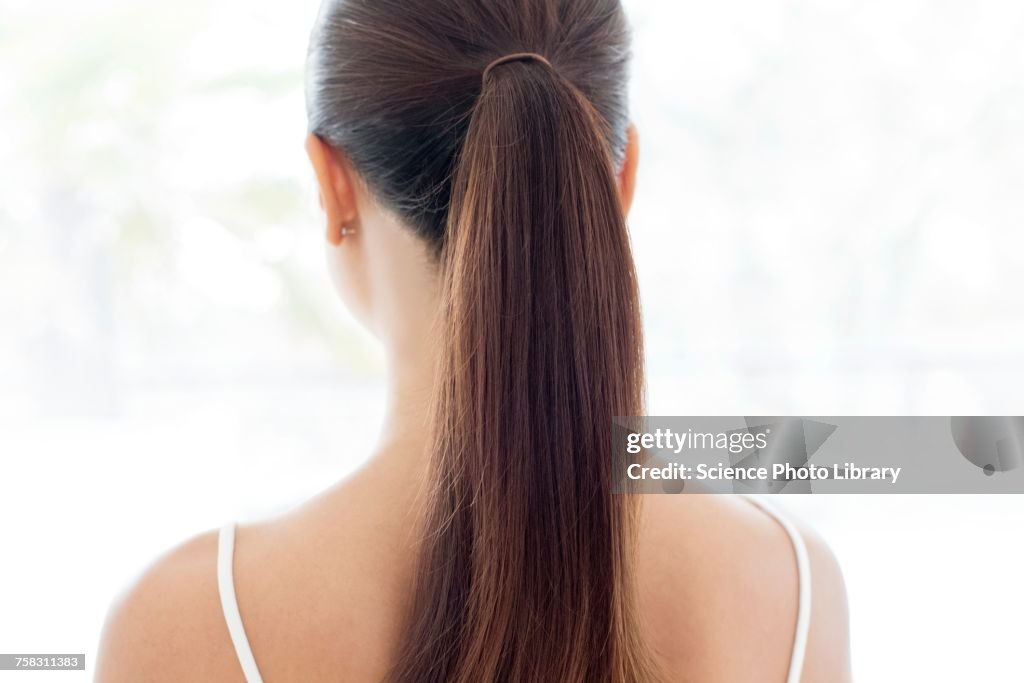 Woman with pony tail, rear view
