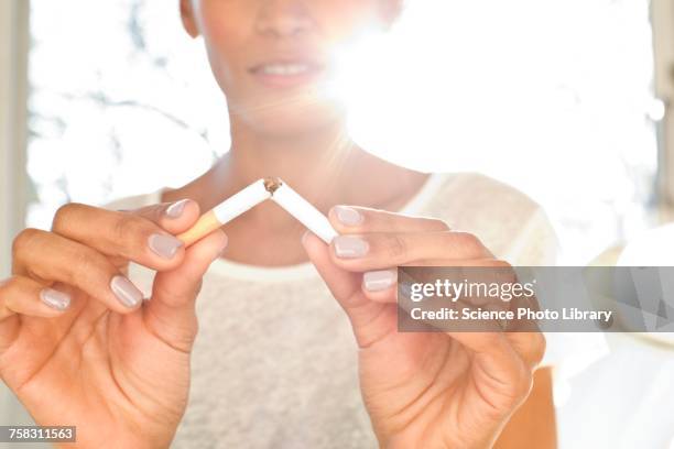 woman breaking cigarette in half - rauchen aufhören stock-fotos und bilder