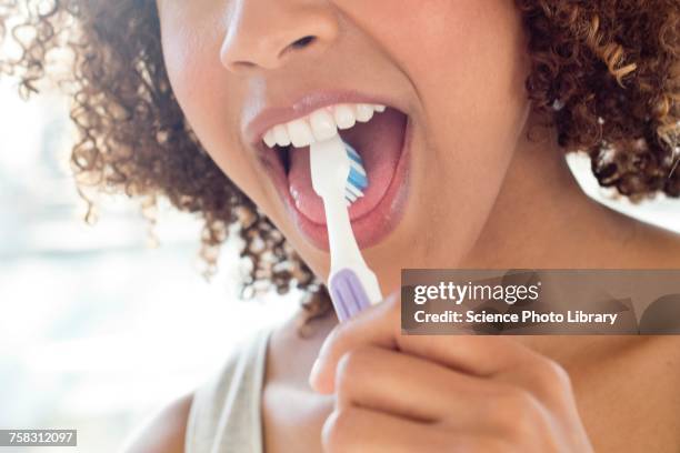 portrait of woman brushing tongue - human tongue stock pictures, royalty-free photos & images