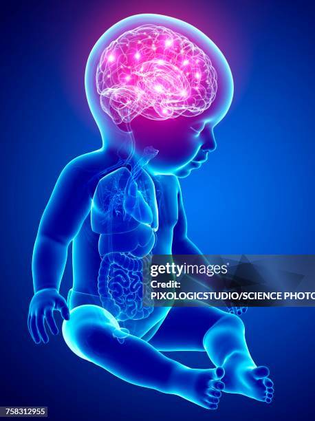babys brain activity, illustration - digital brain stock illustrations