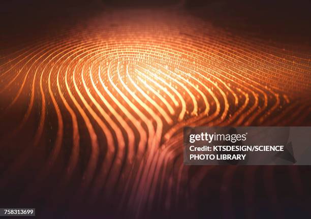 fingerprint shape in binary code, illustration - fingerprint stock illustrations