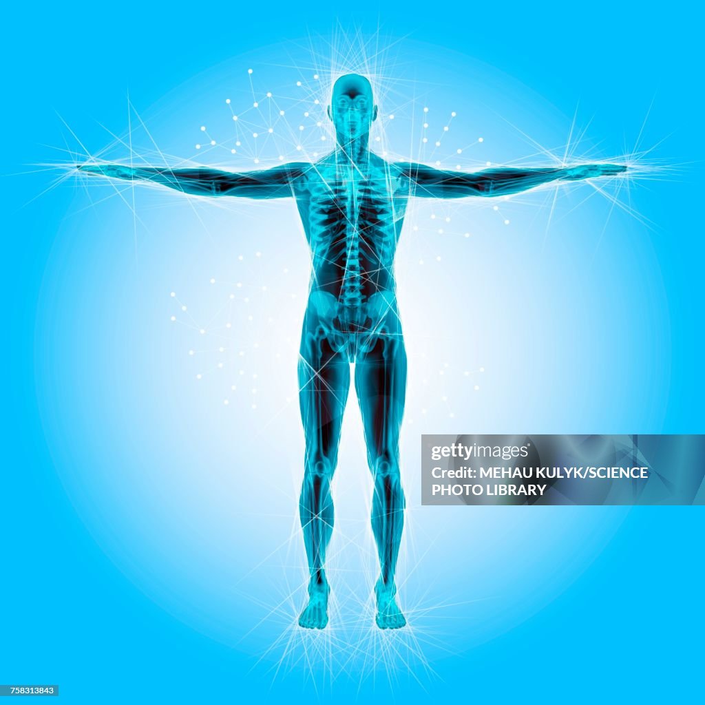 Human Atoms Examples Atomic Structure Of The Body Illustration High-Res Vector Graphic ...