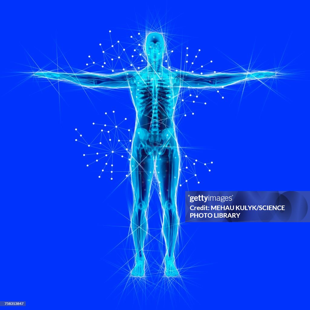 Human Atoms Examples Atomic Structure Of The Body Illustration High-Res Vector Graphic ...