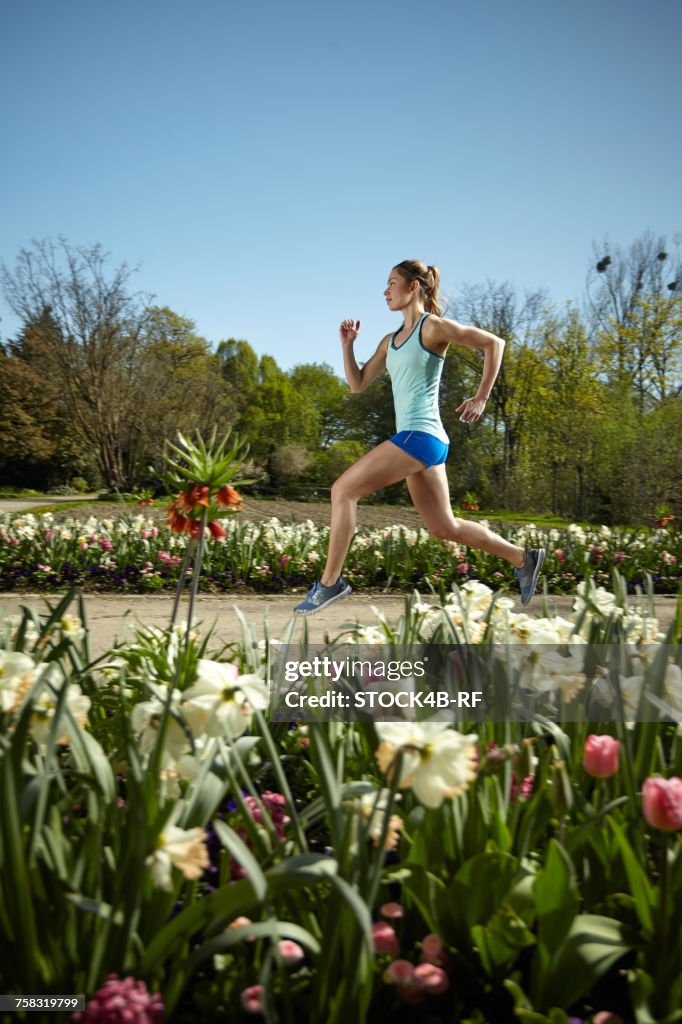 Spring Running Woman Sportive Woman Running In Park In Spring High-Res Stock Photo - Getty ...