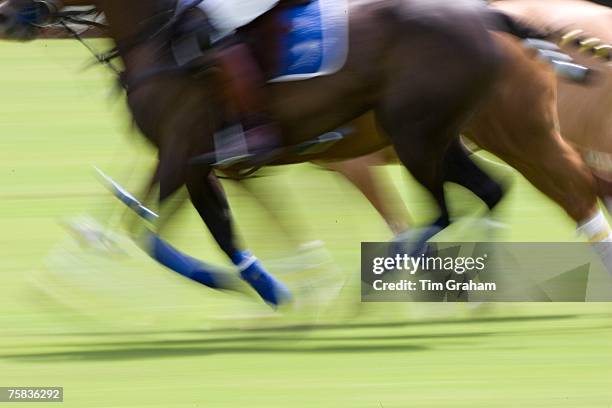 Polo match in Hampshire, England, United Kingdom