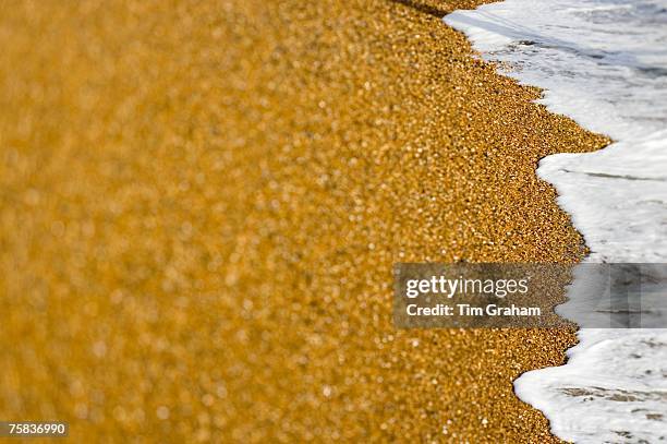 Pebble beach, Brighton, England, United Kingdom