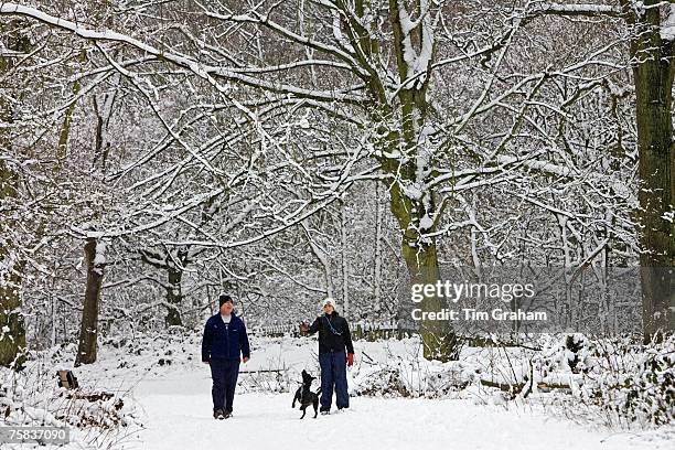 Couple walk the dog on a winter's day across snow-covered Hampstead Heath, North London, United Kingdom