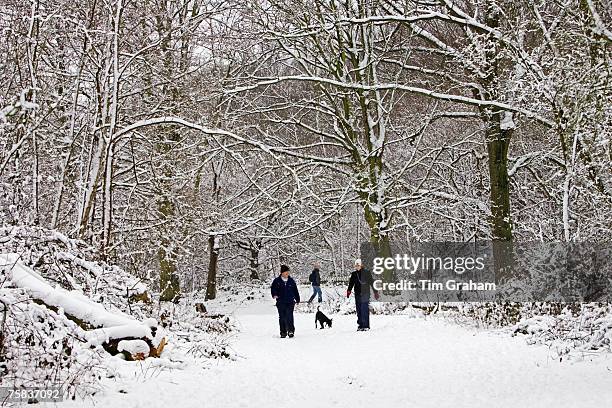 Couple on a winter's day walk the dog across snow-covered Hampstead Heath, North London, United Kingdom