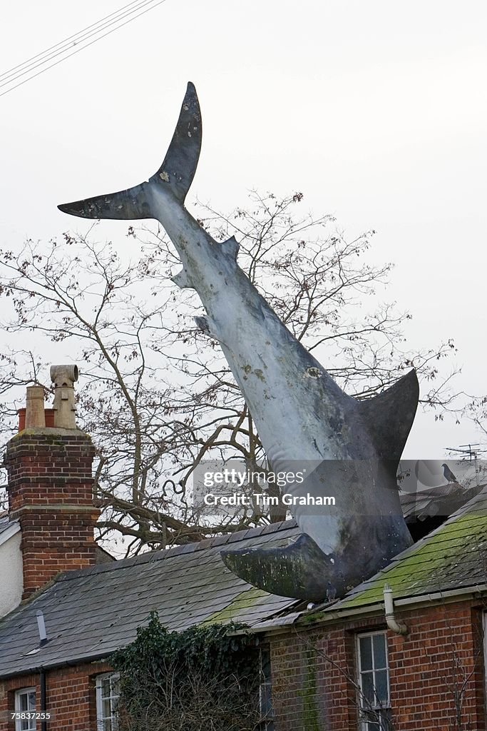 Shark in Roof, Oxfordshire, UK