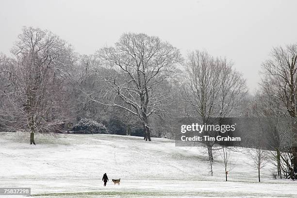 Woman walks dog on winter's day across snow-covered Hampstead Heath, North London, England, United Kingdom