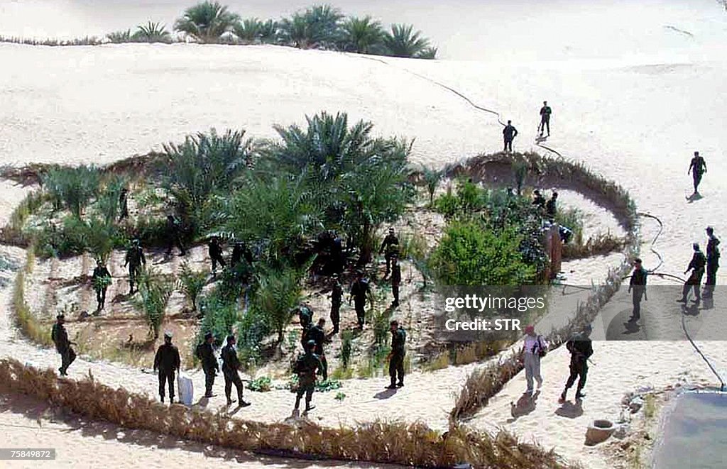 ALGERIA-DRUGS-POPPY FIELD