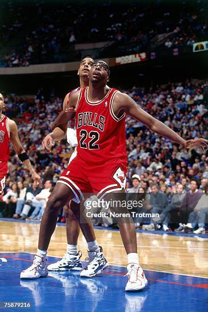 John Salley of the Chicago Bulls boxes out against Jayson Williams