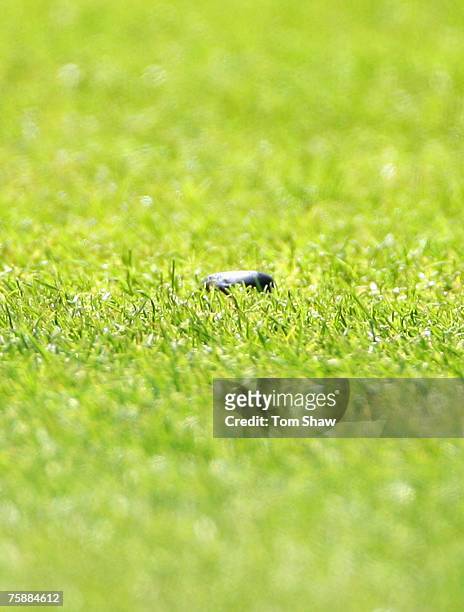 Jelly Bean is pictured on the outfield during day five of the Second Test match between England and India at Trent Bridge on July 31, 2007 in...