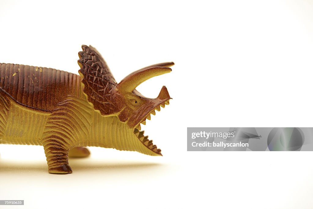 Toy plastic dinosaur on a white background