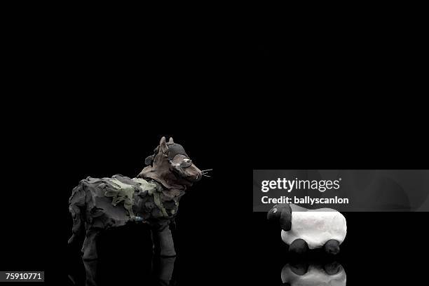 wolf and a sheep made of clay on a black background - wolf only white background stock pictures, royalty-free photos & images