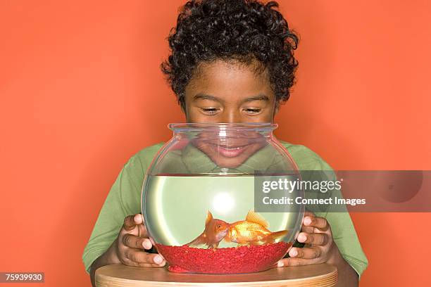 boy looking at goldfish - vissenkom stockfoto's en -beelden