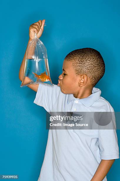 boy with a goldfish - pet goldfish stock pictures, royalty-free photos & images