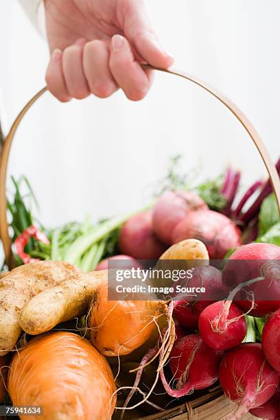 woman holding basket of vegetables - fingerling potato stock pictures, royalty-free photos & images