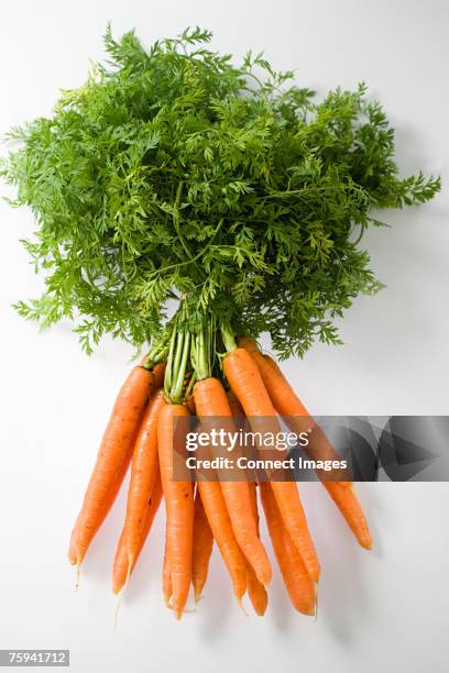 bunch of carrots - möhre stock-fotos und bilder