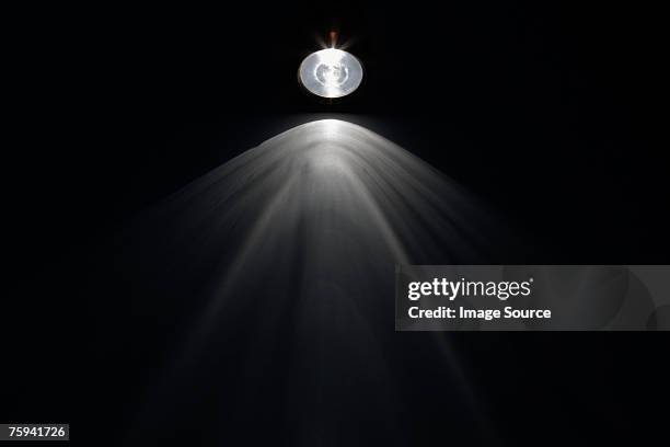 torch - flashlight stock pictures, royalty-free photos & images