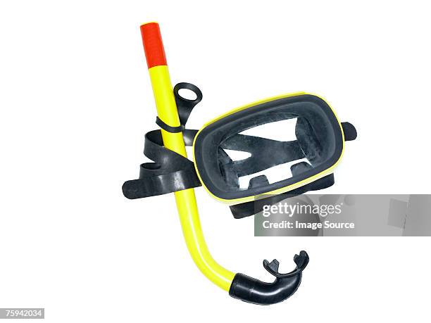 snorkel - snorkelling stock pictures, royalty-free photos & images