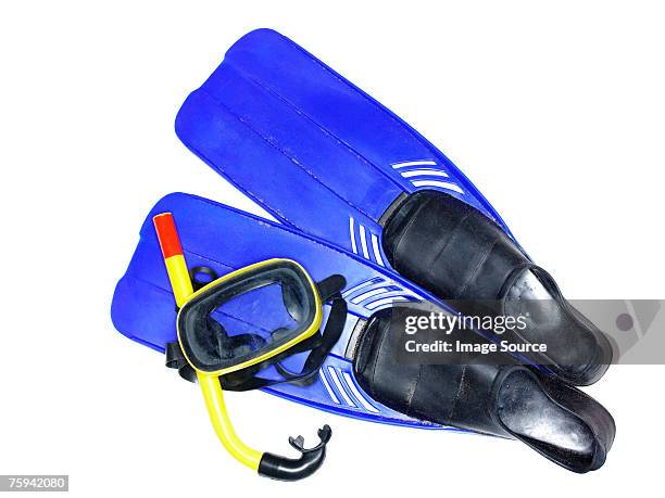 diving mask and flippers - zwemvliezen stockfoto's en -beelden