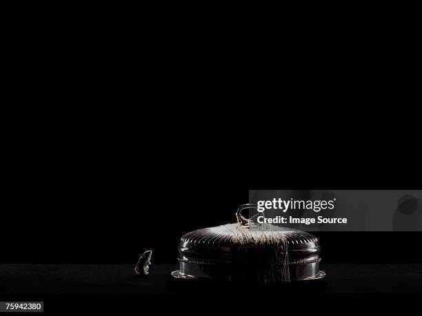 mouse and a silver platter - dormouse stock pictures, royalty-free photos & images