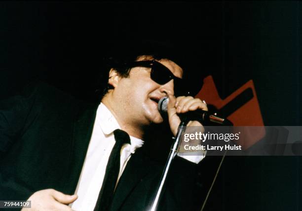 Photo of Blues Brothers & John Belushi