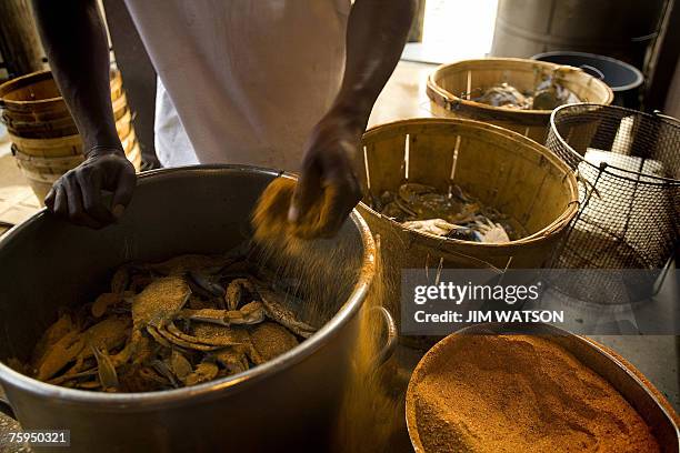 Chef puts Old Bay seasoning on Maryland Blue Crabs at the Crab Claw restaurant, a local favorite in St. Michaels, Maryland, 02 August, 2007. St....