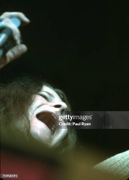 Singer Janis Joplin of the bblues/rock band Big Brother and the Holding Company performs at the Monterey Pop Festival at the Monterey County...