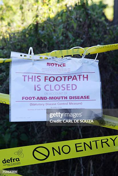 Sign preventing people from using a public footpath warns of the risk of foot and mouth disease infection near a farm area in Wanborough, Surrey,...