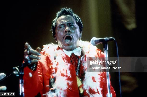 Photo of Screamin' Jay Hawkins at the Chicago Blues Festival