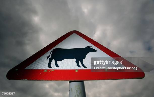 Sign warns motorists of possible cattle in the road in the Cheshire countryside on August 7, 2007 in Knutsford, England. In a tense week the British...