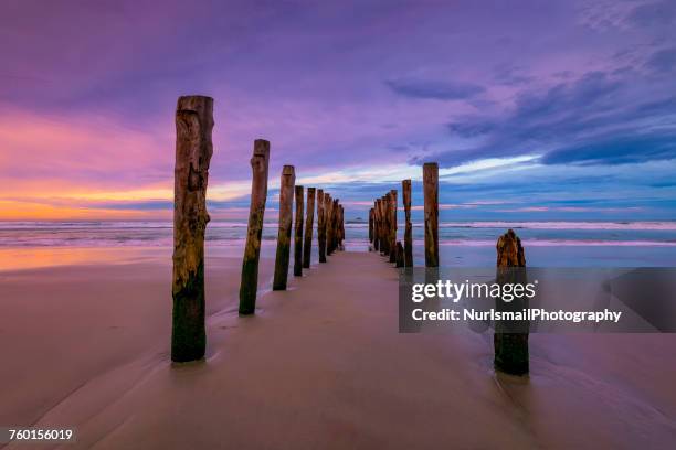 wooden posts on st clair beach, dunedin, south island, new zealand - dunedin stock pictures, royalty-free photos & images