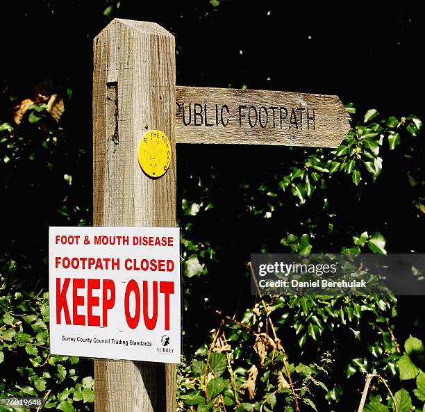 Footpath Sign Multichoice 294 Warning Foot In Mouth Stock Photos, High-Res Pictures, and Images ...