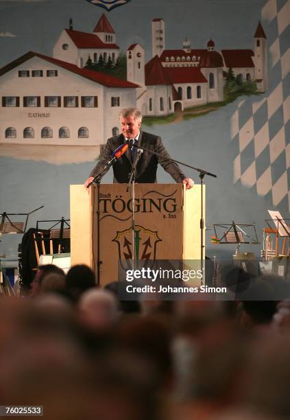 Agriculture and Consumer Protection Minister Horst Seehofer delivers a speech to supporters of the Christian Social Union in a beer tent on August 8,...