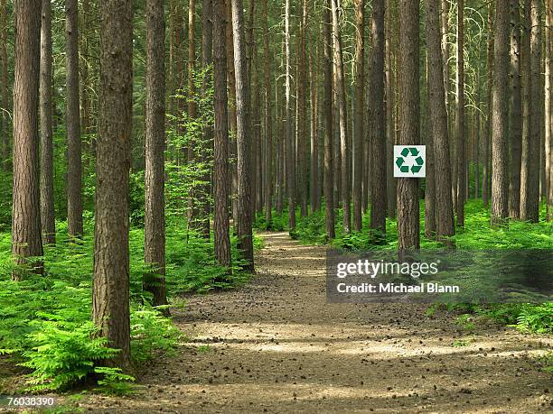 Clean Tree Sign 2,195 Hanging Tree Sign Stock Photos, High-Res Pictures, and Images ...