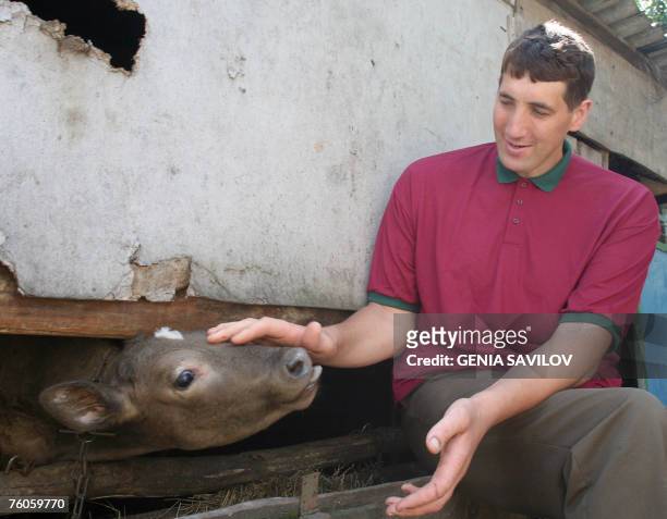 Leonid Stadnyk strokes a calf at his house in Podoliantsi village, 180 km from Kiev, 11 August 2007. Leonid Stadnyk, a giant veterinary surgeon from...