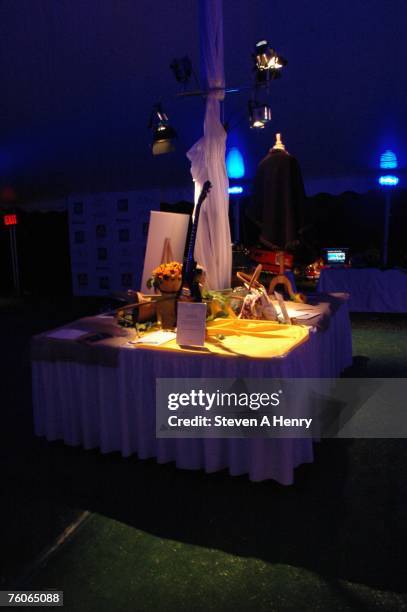 Atmosphere at the Sunflowers After Hours Dinner to Benefit A.C.E. August 11, 2007 in Southampton, New York.