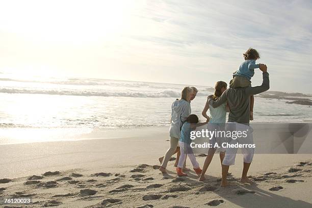 family on the beach - multi generation family from behind stock pictures, royalty-free photos & images