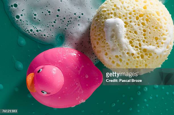 rubber duck and sponge, close-up - bath sponge stock pictures, royalty-free photos & images