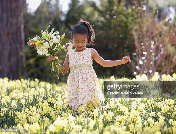 african american girl in field of spring flowers - mädchen kleid stock-fotos und bilder