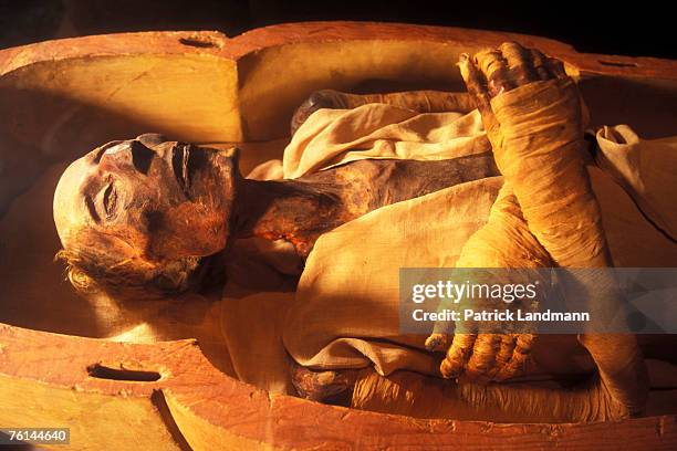 The mummy of Ramses II , son of Sethy I, in April 2006, at Cairo Museum, Egypt. The mummy was discovered with the other royal mummies in the Deir el...