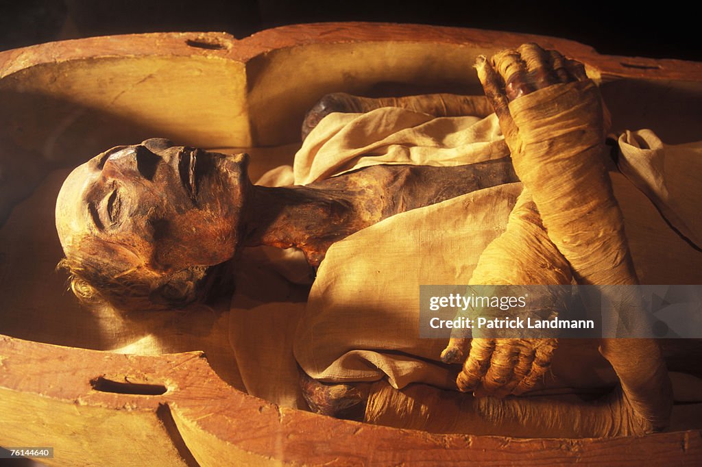 Egypt's Mummies