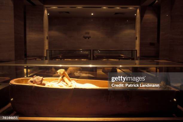 The mummy of Ramses II , son of Sethy I, in April 2006, at Cairo Museum, Egypt. The mummy was discovered with the other royal mummies in the Deir el...