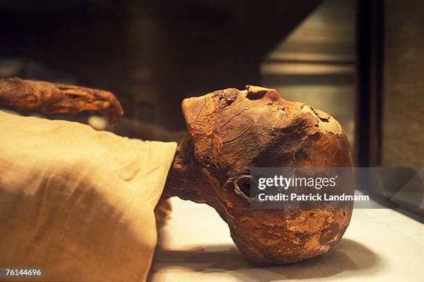 Ramses III , often regarded as the last of the grand sovereigns of Egypt, in April 2006, at Cairo Museum, Egypt. The first four years of his reign...